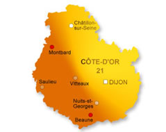 diagnostic immobilier Dijon 21 Côte d'or